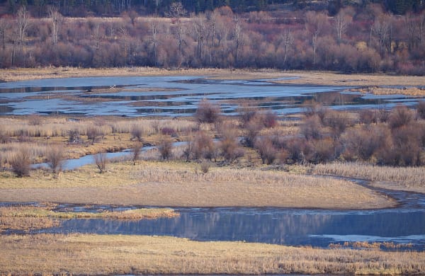 Columbia Valley Wetlands By James McElroy Artwork Archive