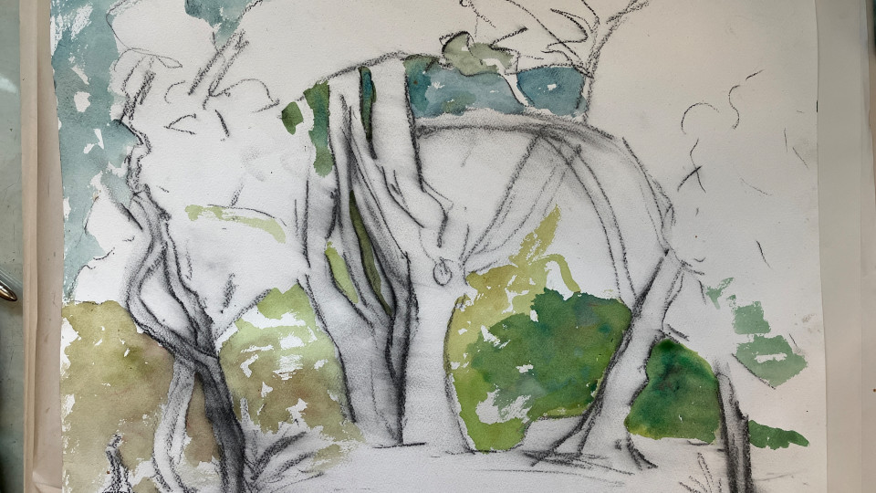 Detail of “Hill House Oaks” On the Easel. Half sheet watercolor (15"x 22"and charcoal on paper