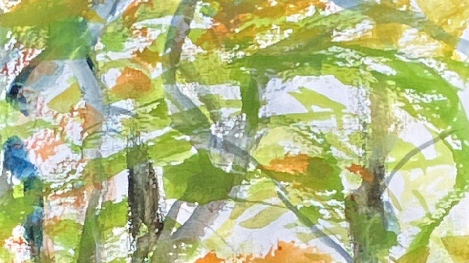 922-Under the Tree Umbrella of Leaves Fall Color