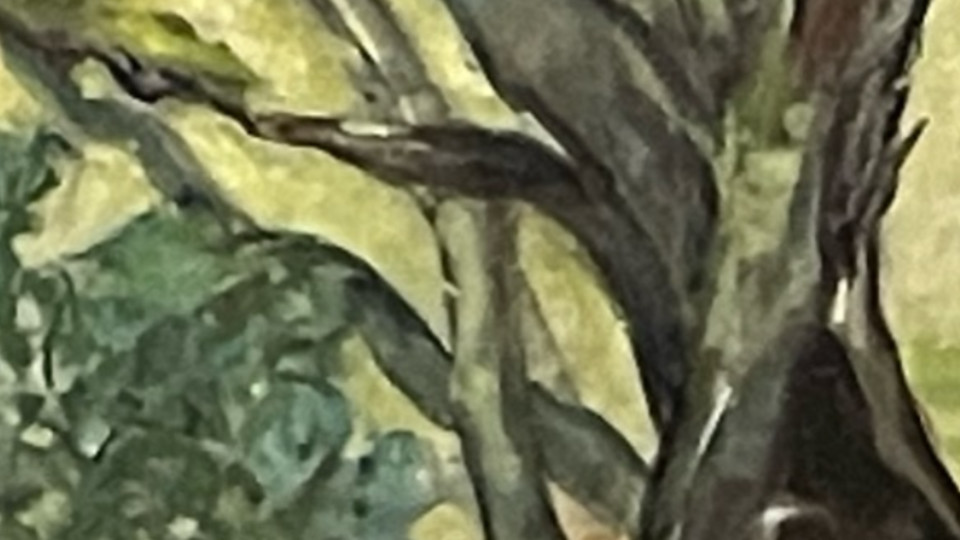 Details of #1009 Finding a Path one of many titles at this stage