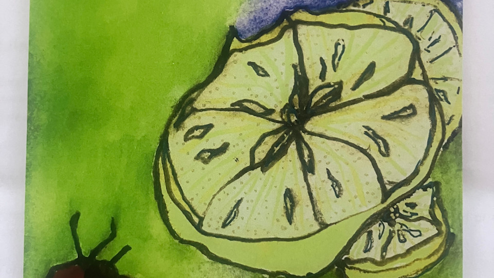 Done in the rules imposed 