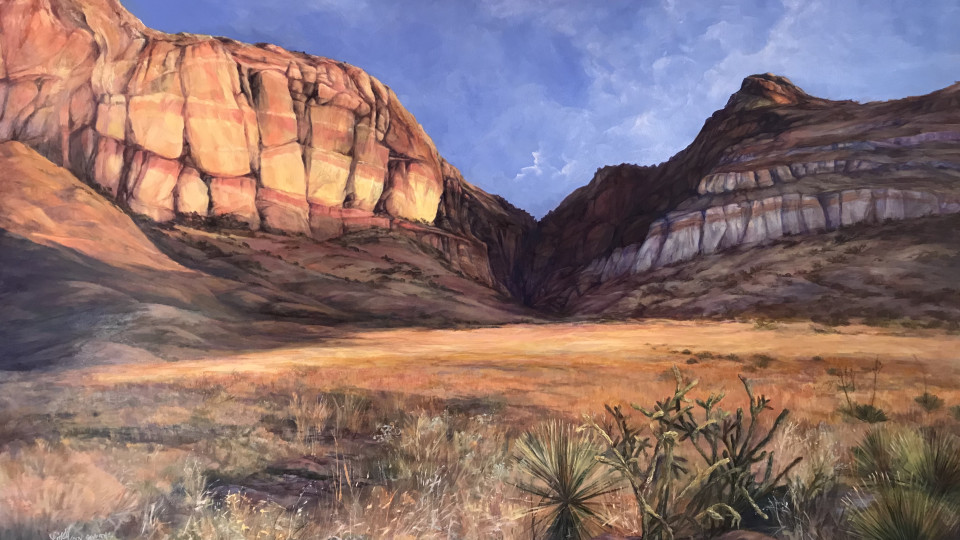 Lindy Cook Severns Solo Exhibit At Sibley Nature Center 