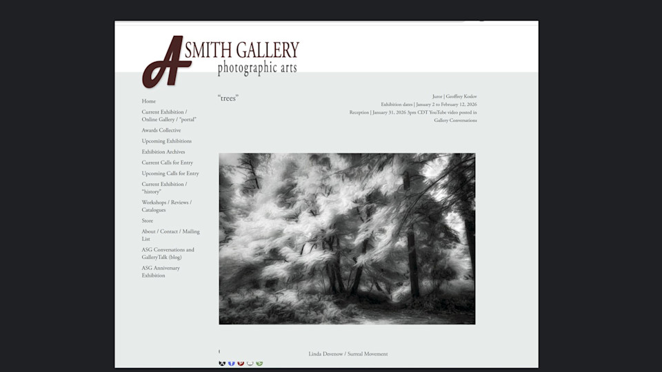  A Smith Gallery - January Online Exhibit