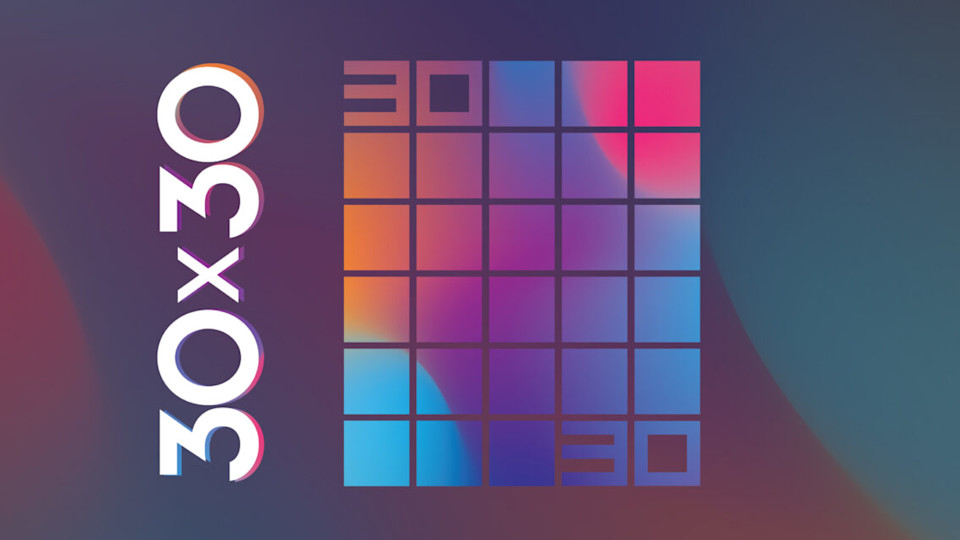 30 x 30 Challenge Exhibit