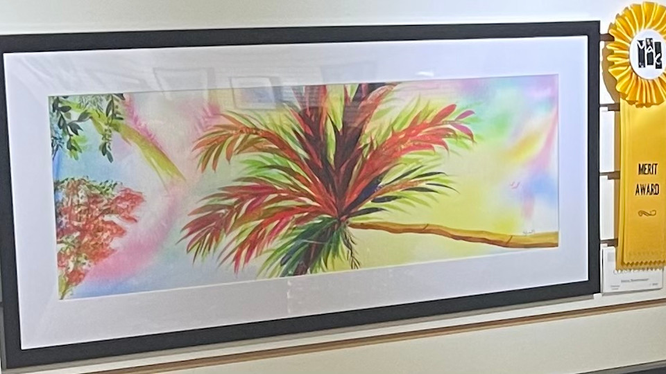 Merit Award at the Members’ Showcase