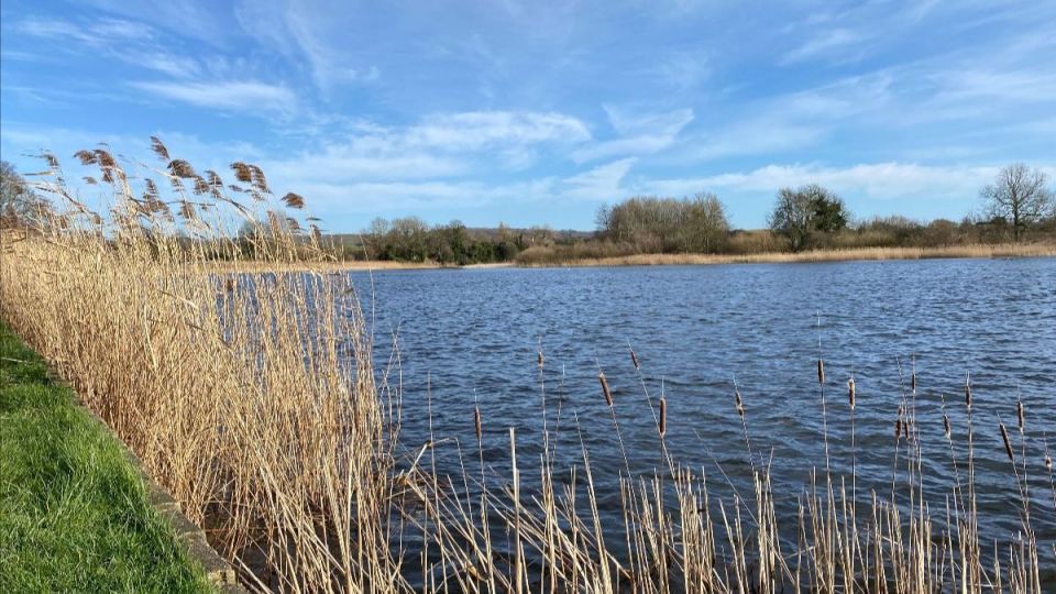 Studio News March 2022