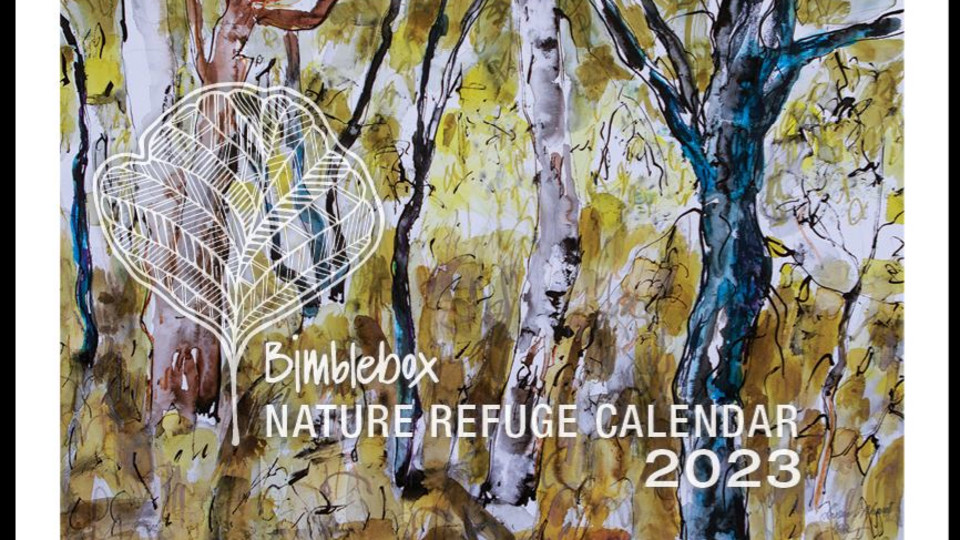 2023 Bimblebox Calendar
