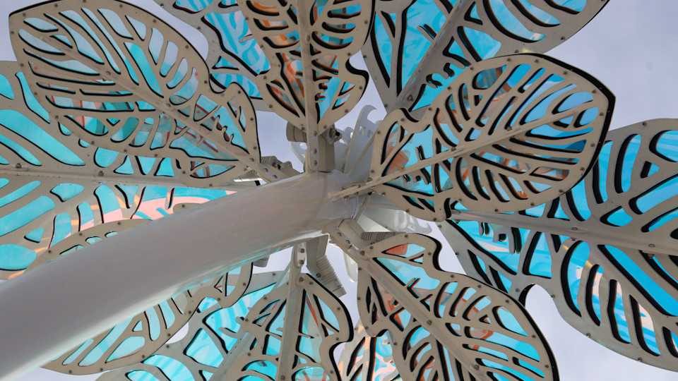 Art and Inspiration Bloom at the Active Adult Center