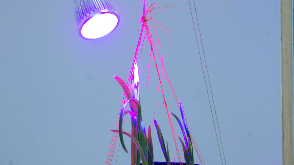 Studio Update: January 2019