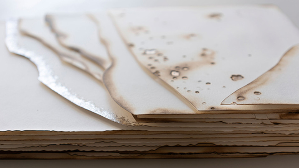 Studio Update: April 2019