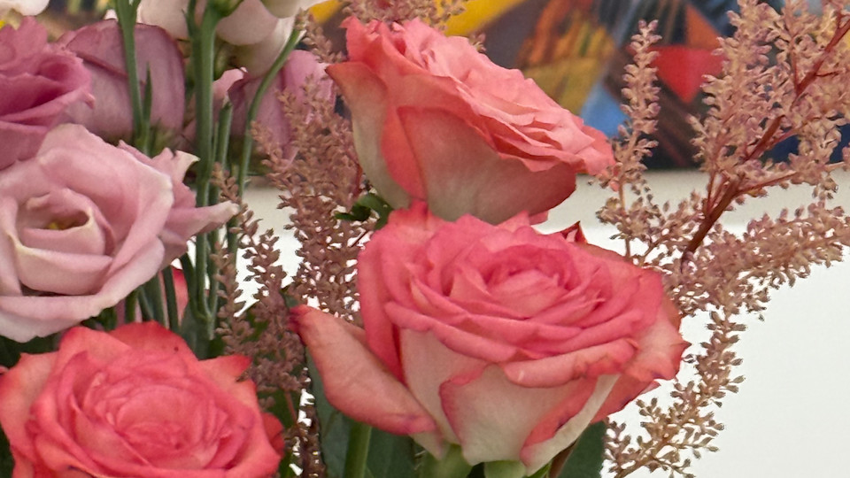 Spectrum of Life - Group Exhibition