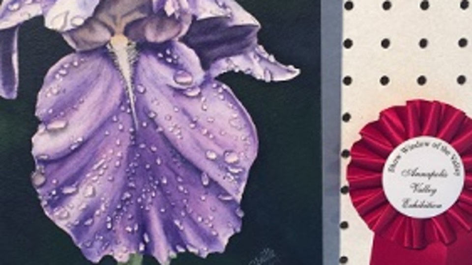 August brings Awards