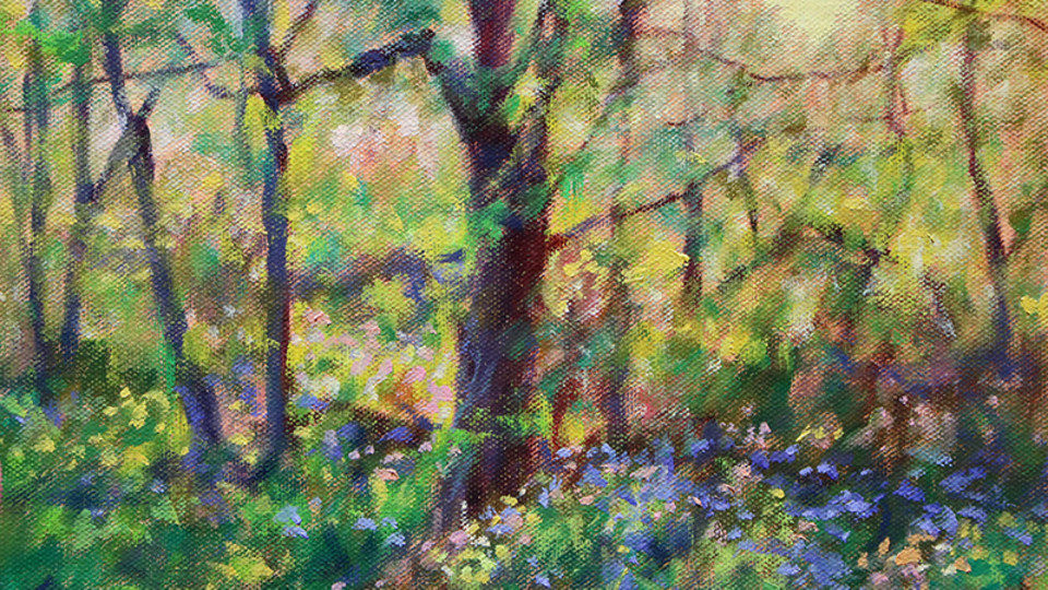 Show at WVTF Studios!