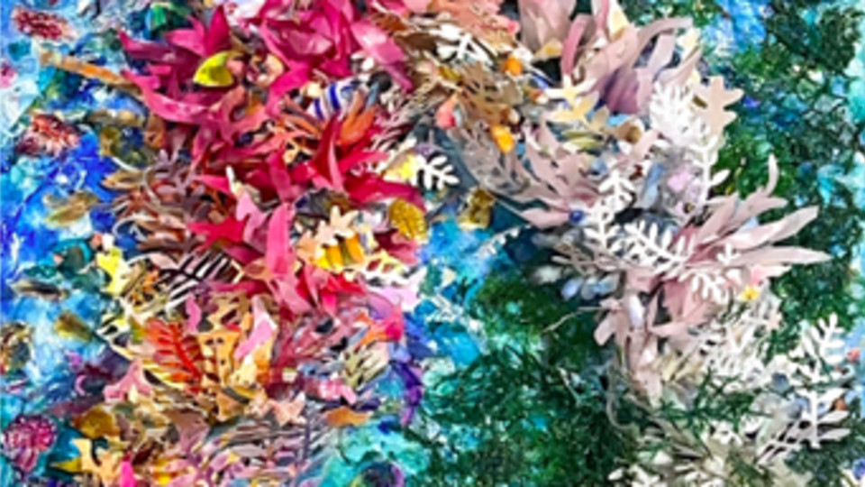 Depictions: Earth, Life and Our Shared Responsibility