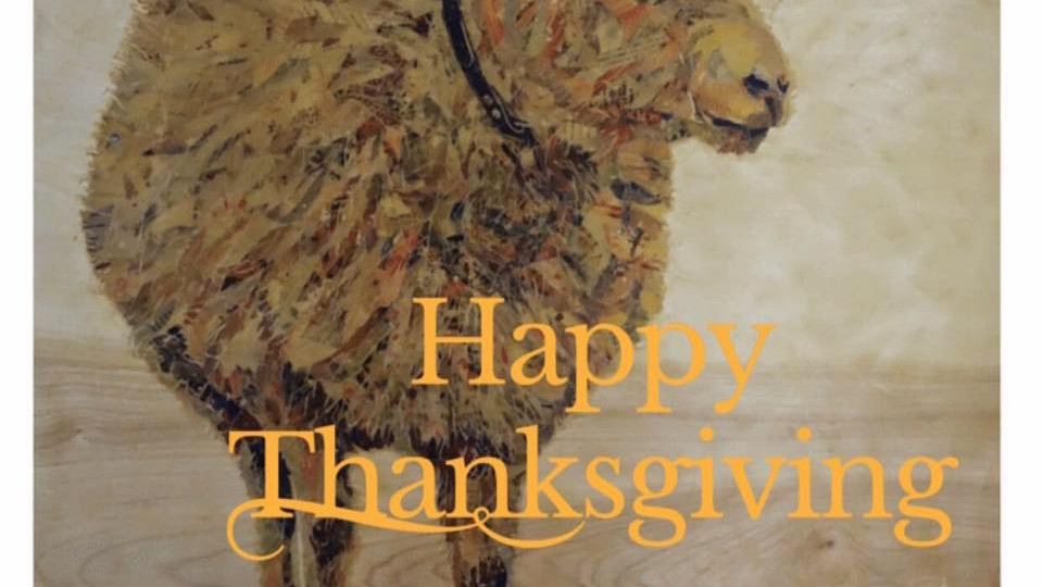 Happy Thanksgiving!