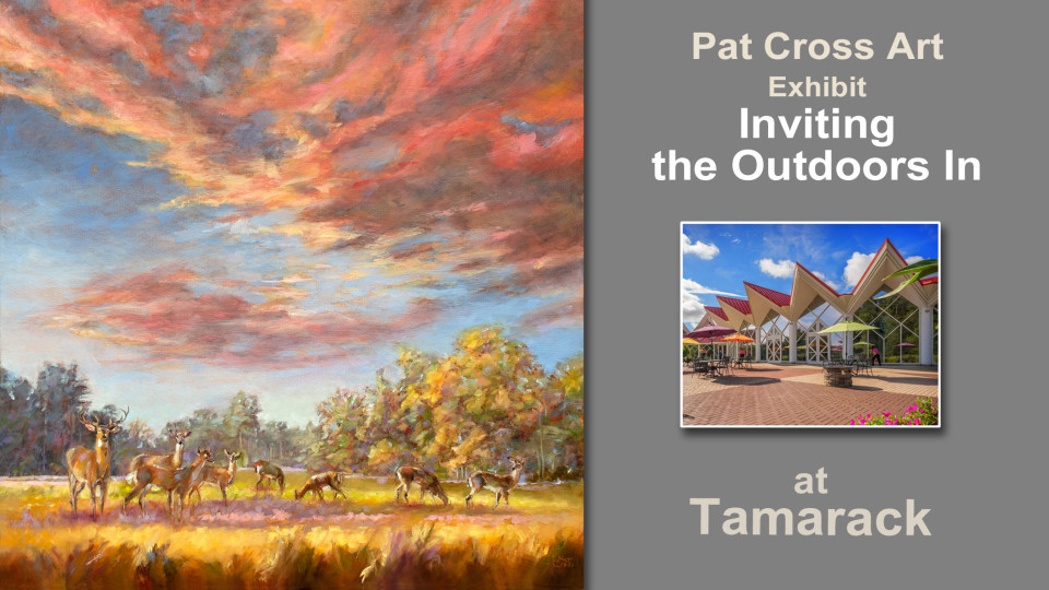 Tamarack features new original oil paintings by Pat Cross "Inviting the Outdoors In."