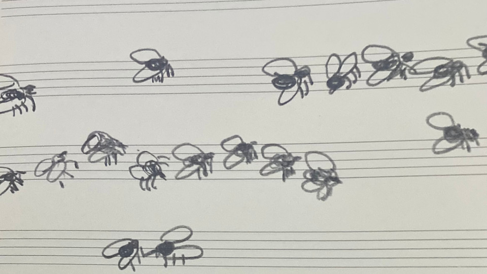 Murmuration of Flies