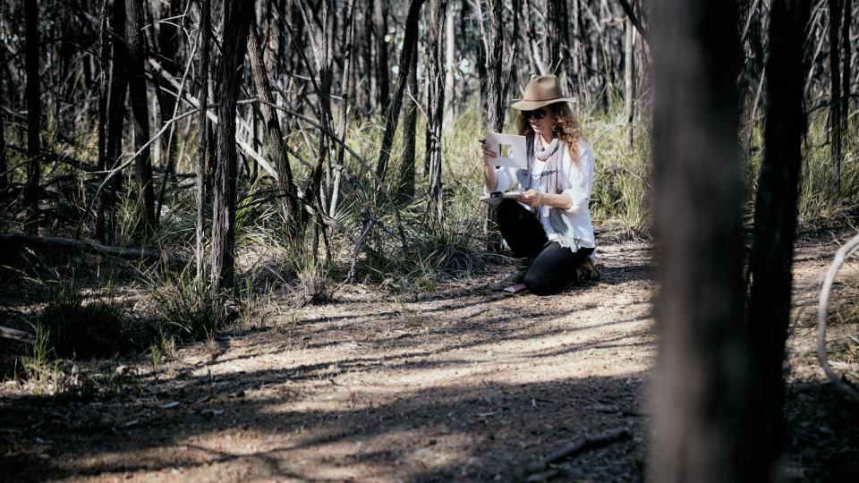'Viewpoints: Wollemi National Park ' Exhibition 2022