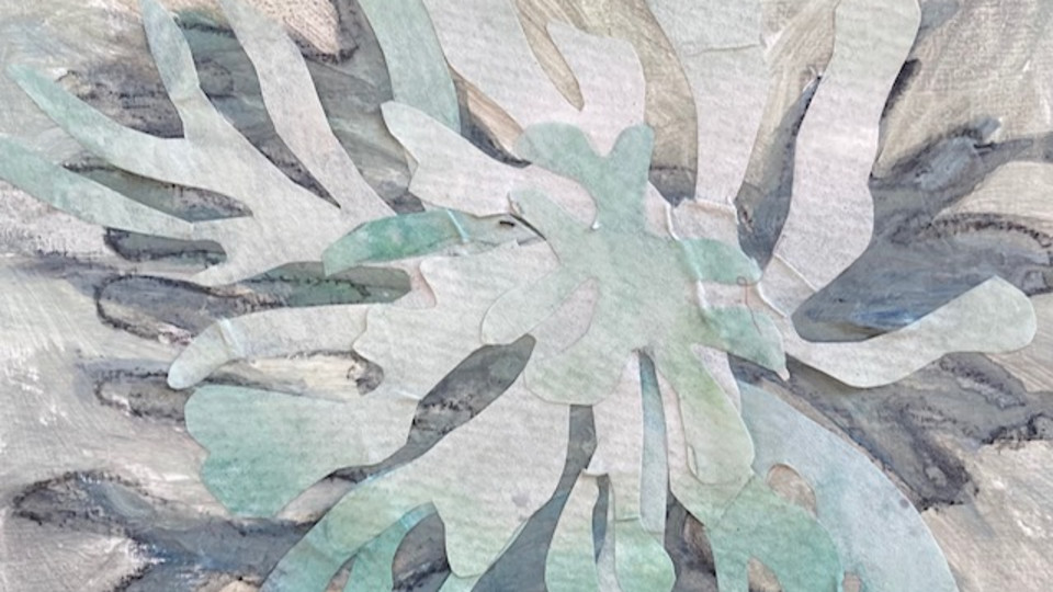 "Notes from my backyard" by A-M Petersons