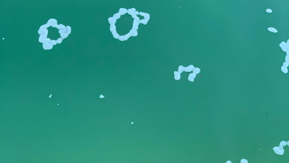 "Floatsom/Floatilla" by Sally Ketcham