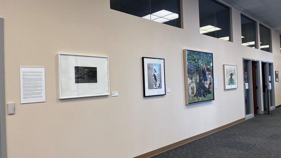 Nellie Ashford Library Installation From Davidson College 