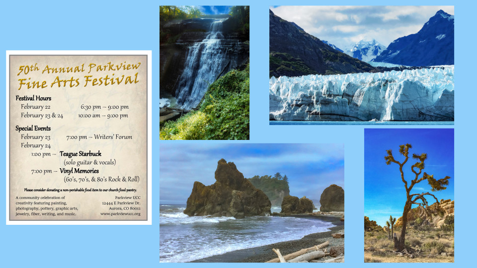 50th Annual Fine Arts Festival 2024