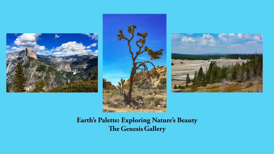 Earth's Palette: Exploring Nature's Beauty