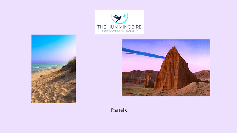 Pastels 2025: Hummingbird Dragonfly Art Gallery