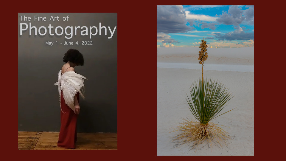 The Fine Art of Photography 2022: Plymouth Center for the Arts