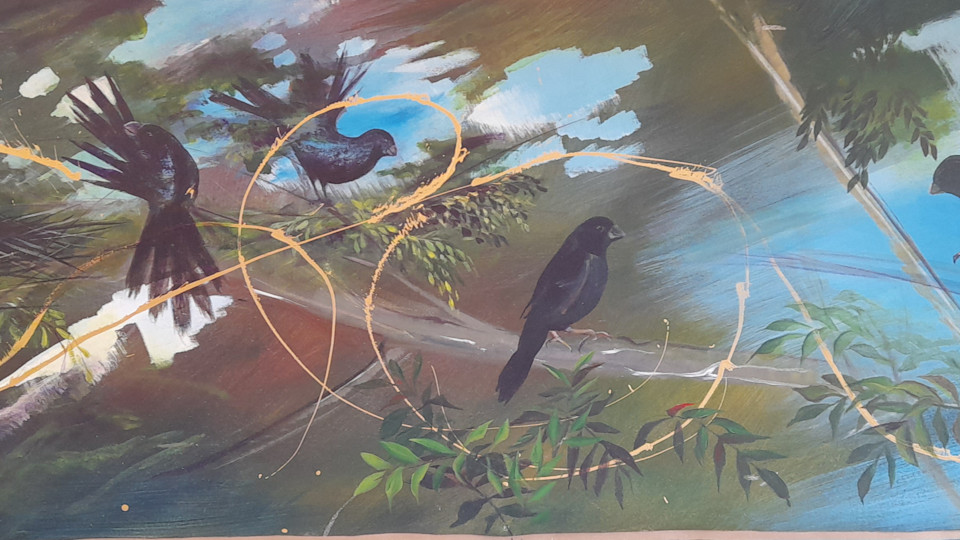 Thick-billed Seedfinches nesting