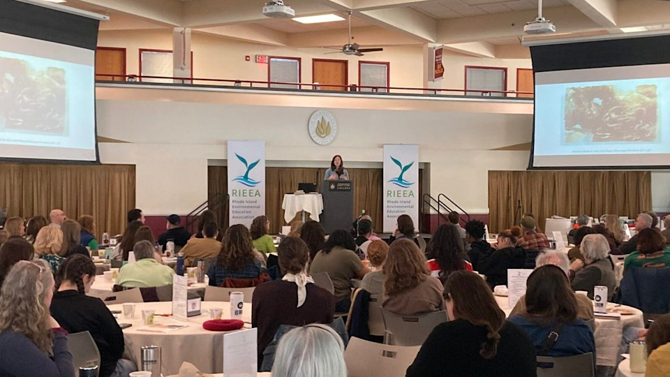 Keynote Speaker at the RIEEA Annual Summit