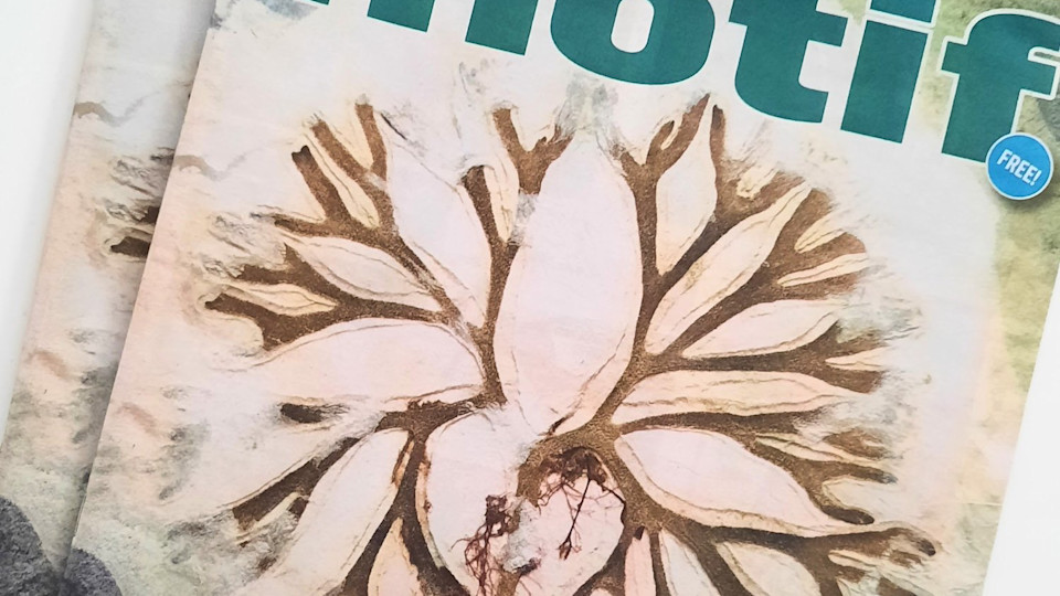 Featured Cover Artist in This Magazine