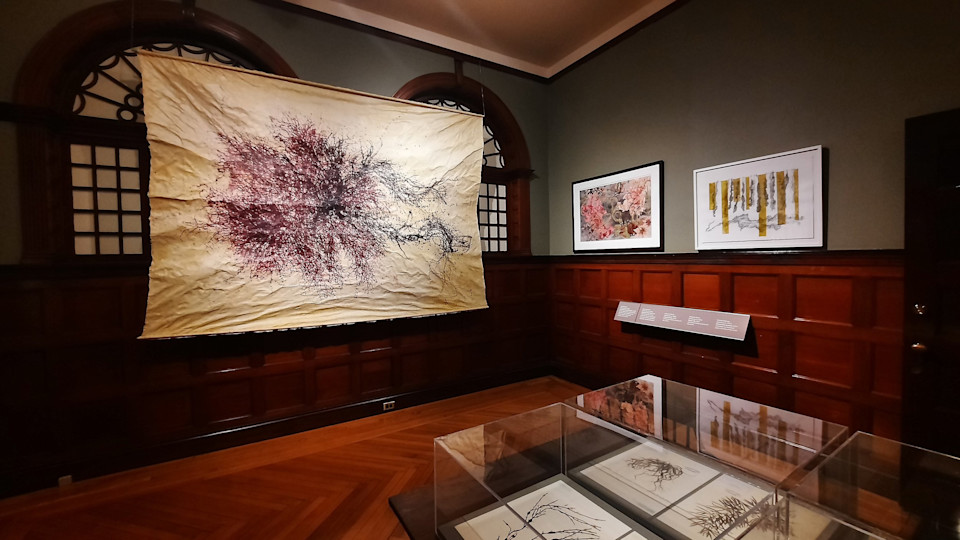 New Bedford Whaling Museum: Cultures of Seaweed Exhibition