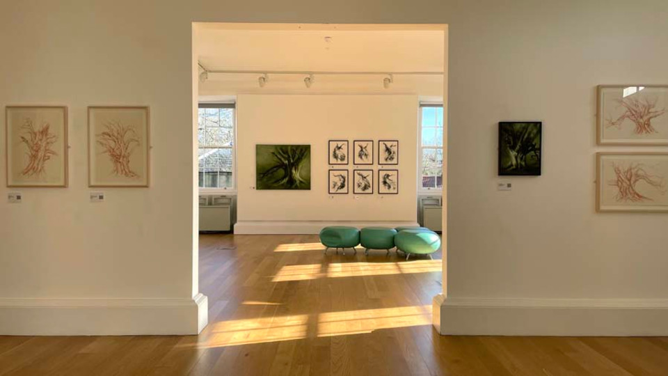 'Turning Towards the Light'