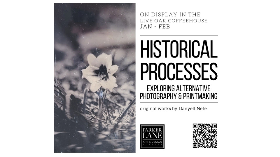 Alternative Photography on Display