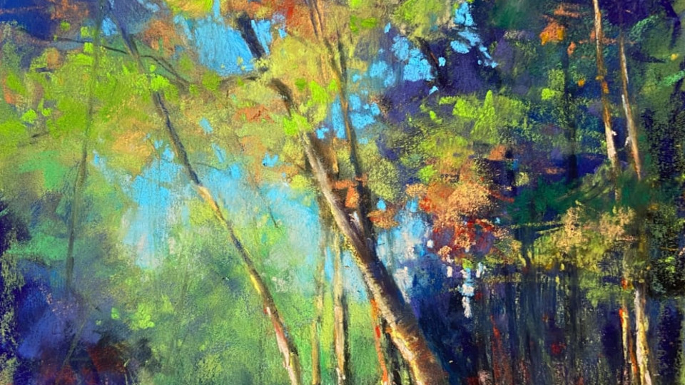 Daphne Boder - Landscape Invitation - Clinic 1A & 1D Galleries from ...