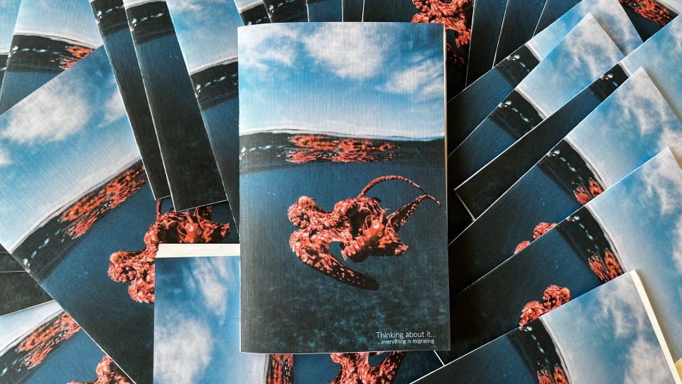 Thinking About it Zine / Everrything is Migrating