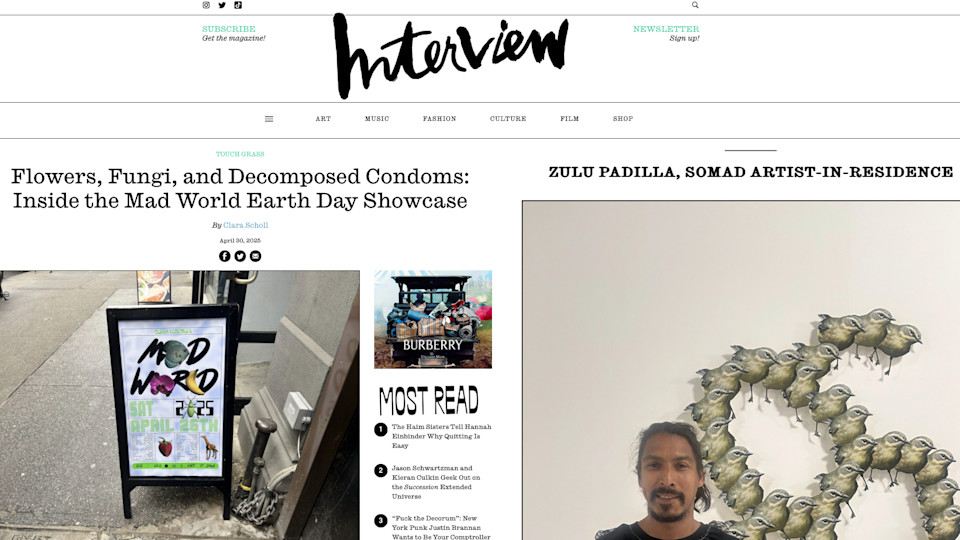 Flowers, Fungi, and Decomposed Condoms: 