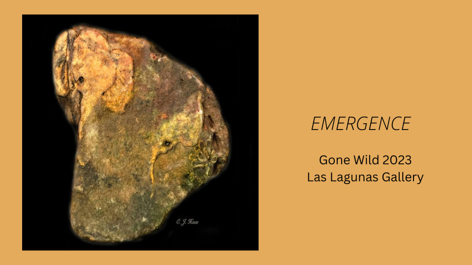 "Emergence" in Gone Wild 