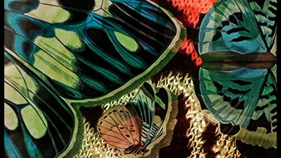 Here’s something fun to try