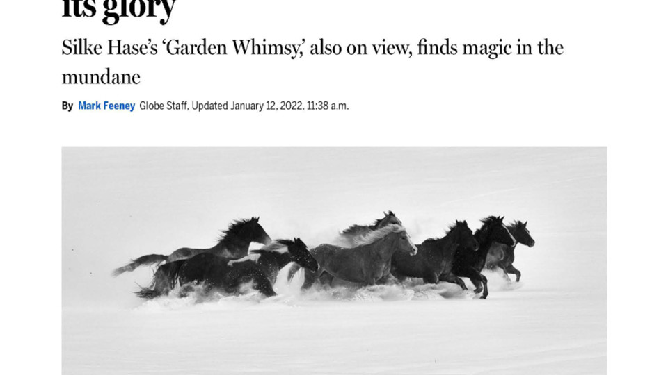 Solo Exhibition Review by Mark Feeney of The Boston Globe