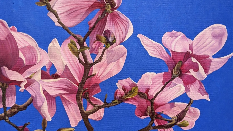 Magnolia; Endurance