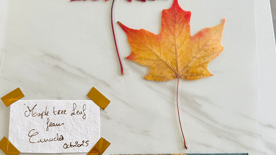 Autumn Leaves : Nature’s Art exhibition. 