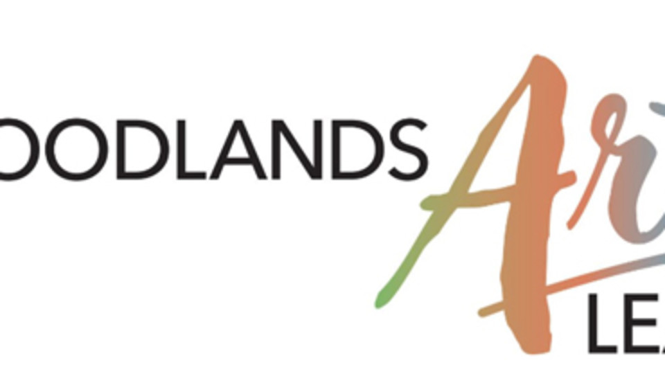 Workshop June 17 2025