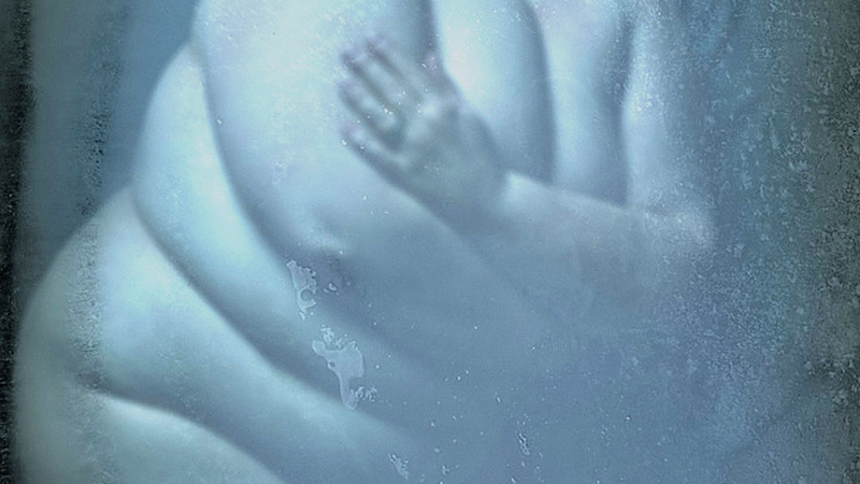 Frozen