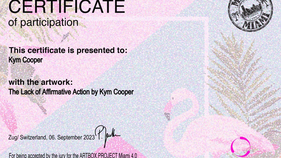 The Lack of Affirmative Action by Kym Coopr