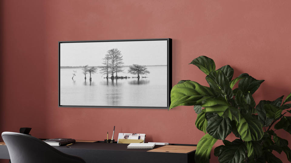 Bald Cypress and Cypress Reflections Featured in Circle Quarterly Art Review