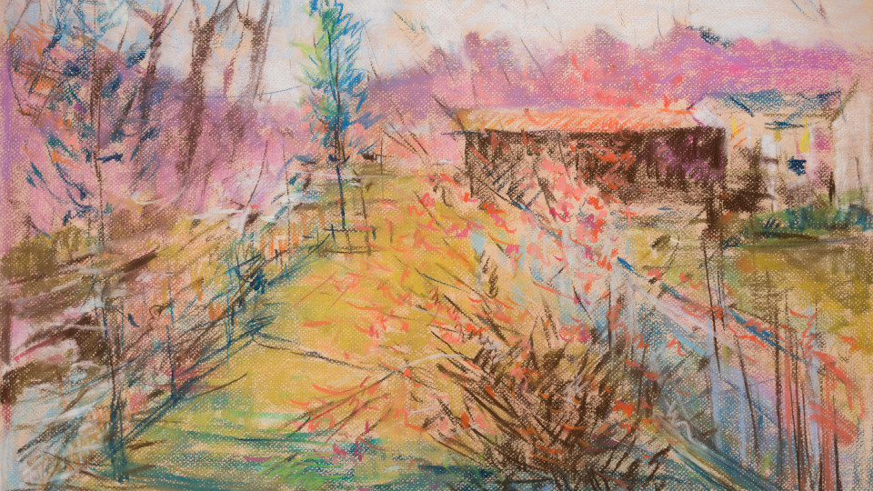 Sold: Quince by Shades Creek