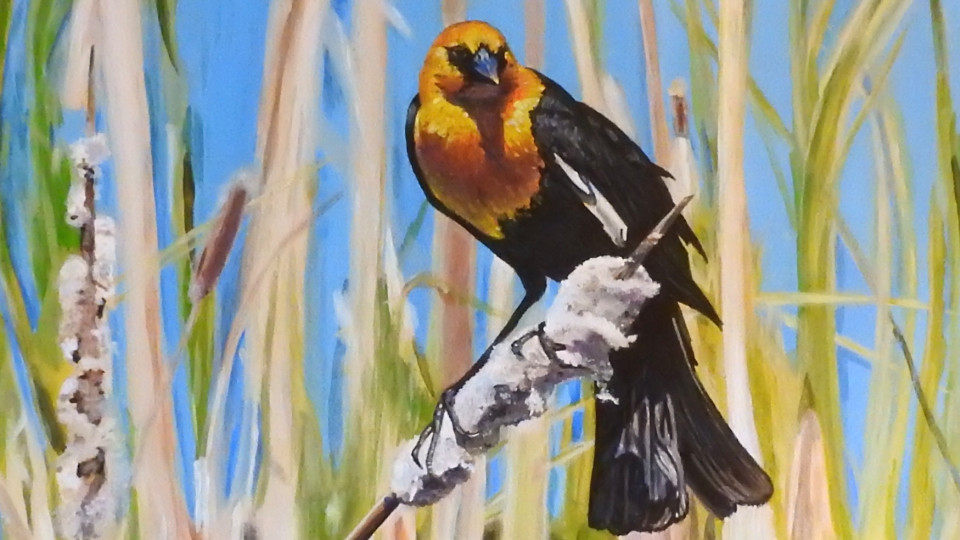 Current Exhibition at the Federation Gallery, Granville Island