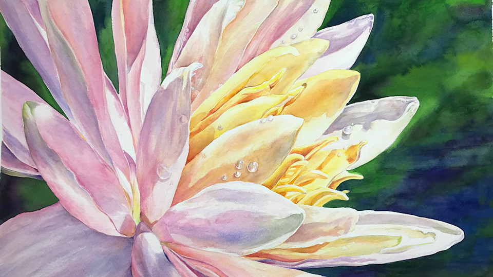 'New Beginnings'